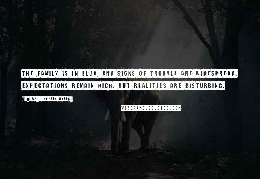 Robert Neelly Bellah Quotes: The family is in flux, and signs of trouble are widespread. Expectations remain high. But realities are disturbing.