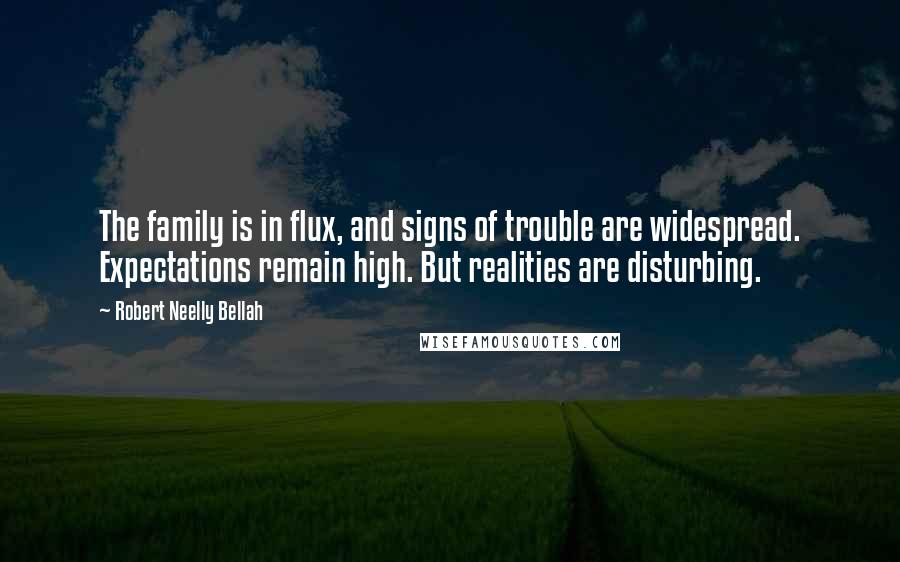 Robert Neelly Bellah Quotes: The family is in flux, and signs of trouble are widespread. Expectations remain high. But realities are disturbing.