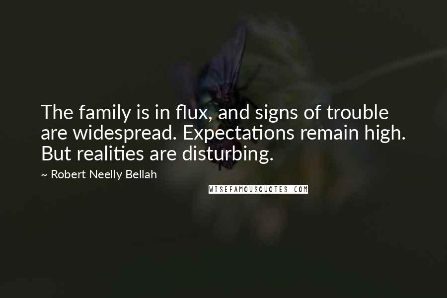 Robert Neelly Bellah Quotes: The family is in flux, and signs of trouble are widespread. Expectations remain high. But realities are disturbing.