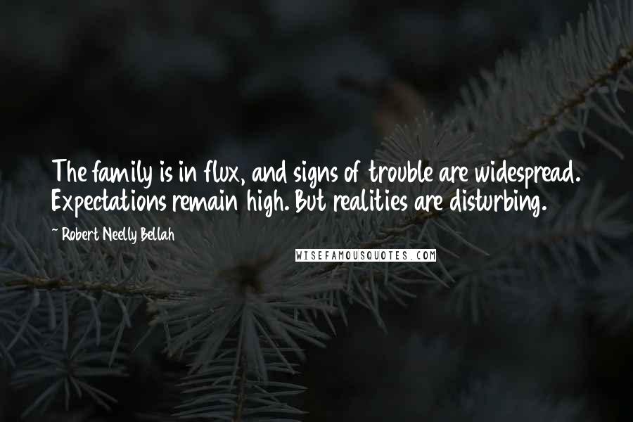 Robert Neelly Bellah Quotes: The family is in flux, and signs of trouble are widespread. Expectations remain high. But realities are disturbing.