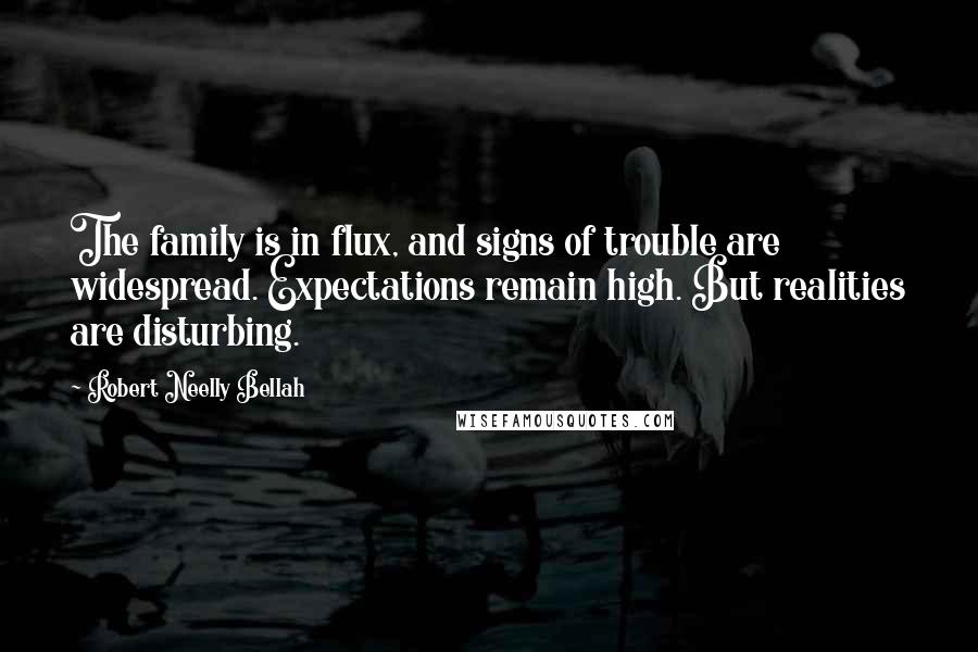 Robert Neelly Bellah Quotes: The family is in flux, and signs of trouble are widespread. Expectations remain high. But realities are disturbing.