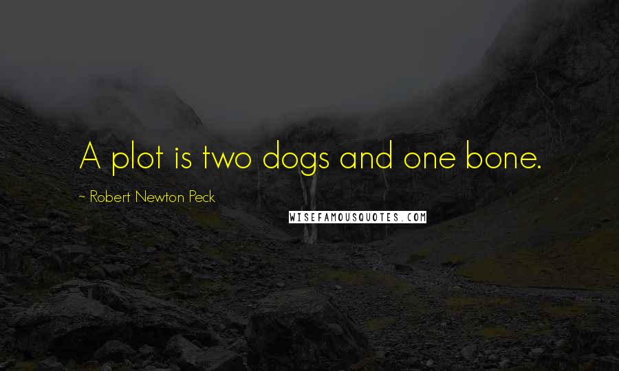 Robert Newton Peck Quotes: A plot is two dogs and one bone.