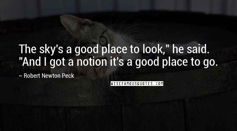 Robert Newton Peck Quotes: The sky's a good place to look," he said. "And I got a notion it's a good place to go.