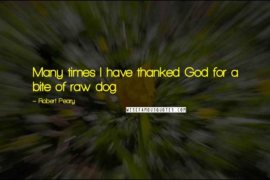 Robert Peary Quotes: Many times I have thanked God for a bite of raw dog.