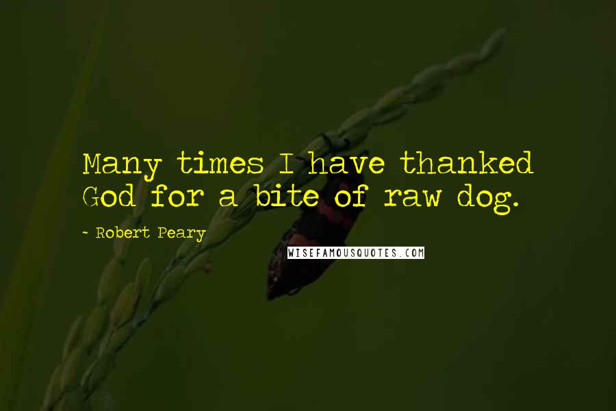 Robert Peary Quotes: Many times I have thanked God for a bite of raw dog.