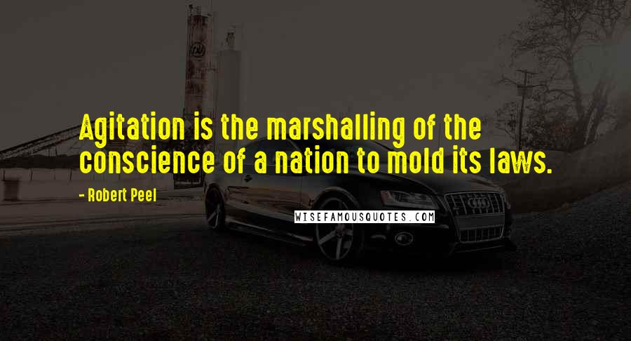 Robert Peel Quotes: Agitation is the marshalling of the conscience of a nation to mold its laws.