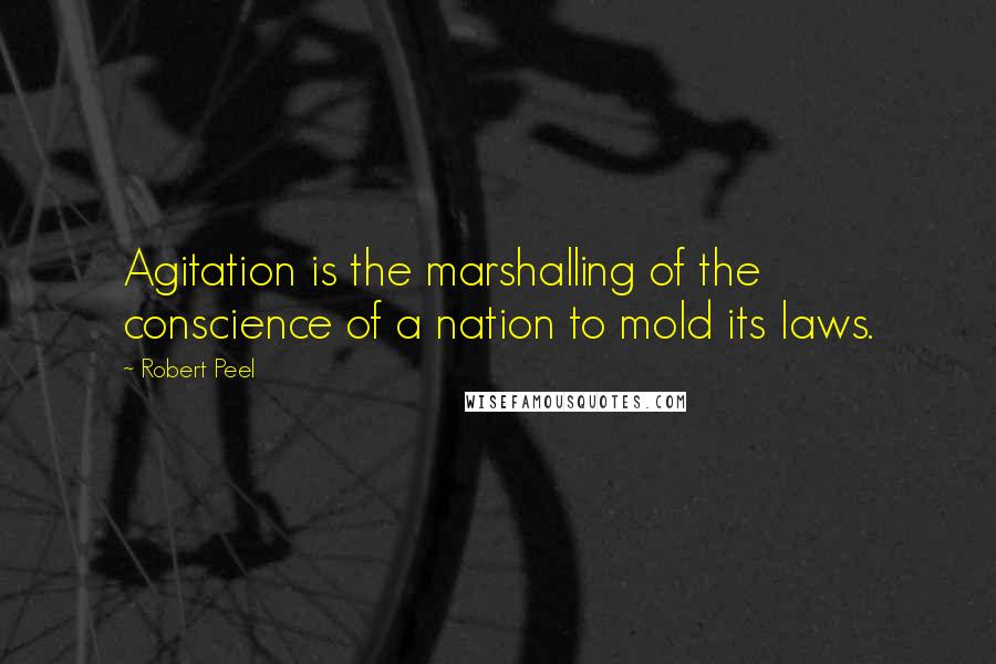 Robert Peel Quotes: Agitation is the marshalling of the conscience of a nation to mold its laws.