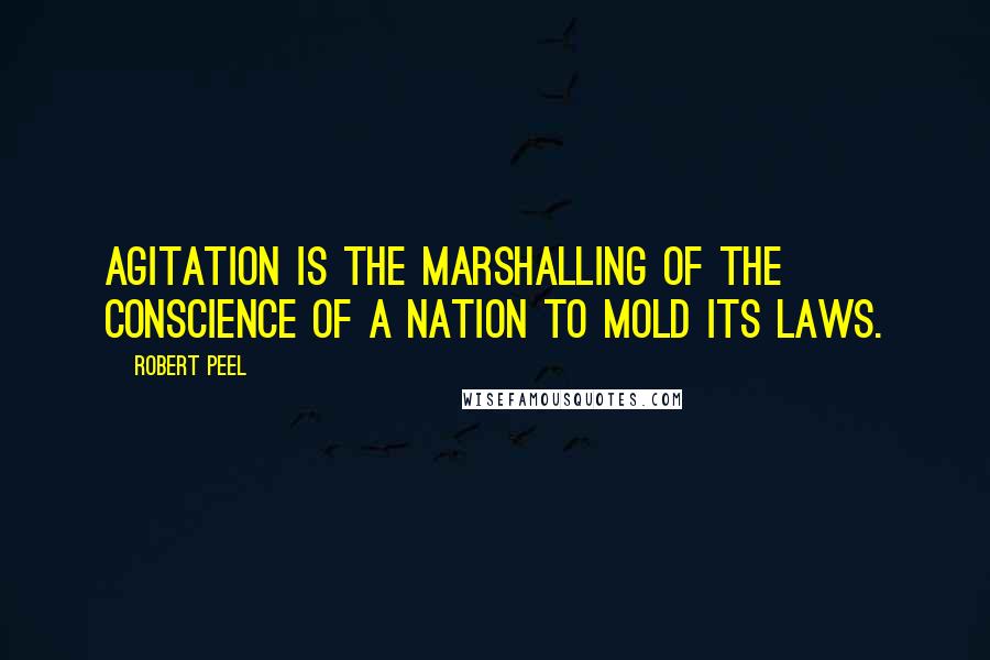 Robert Peel Quotes: Agitation is the marshalling of the conscience of a nation to mold its laws.