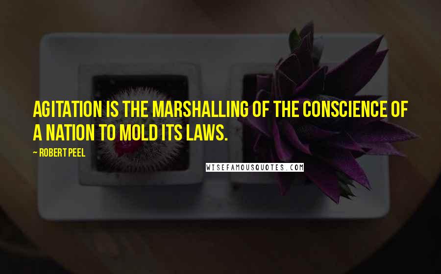 Robert Peel Quotes: Agitation is the marshalling of the conscience of a nation to mold its laws.