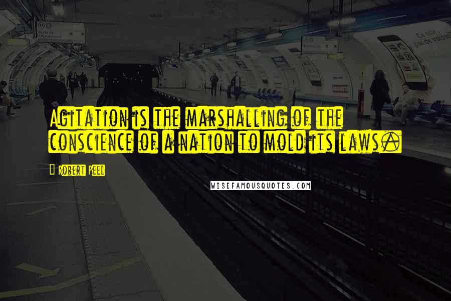 Robert Peel Quotes: Agitation is the marshalling of the conscience of a nation to mold its laws.