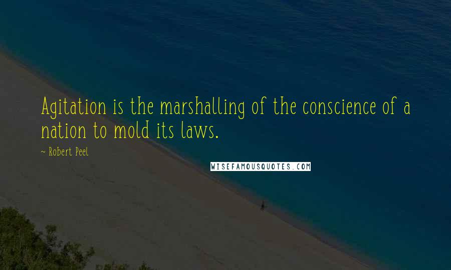 Robert Peel Quotes: Agitation is the marshalling of the conscience of a nation to mold its laws.