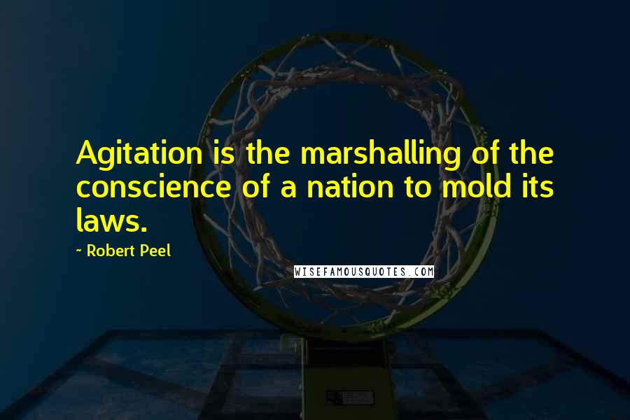 Robert Peel Quotes: Agitation is the marshalling of the conscience of a nation to mold its laws.