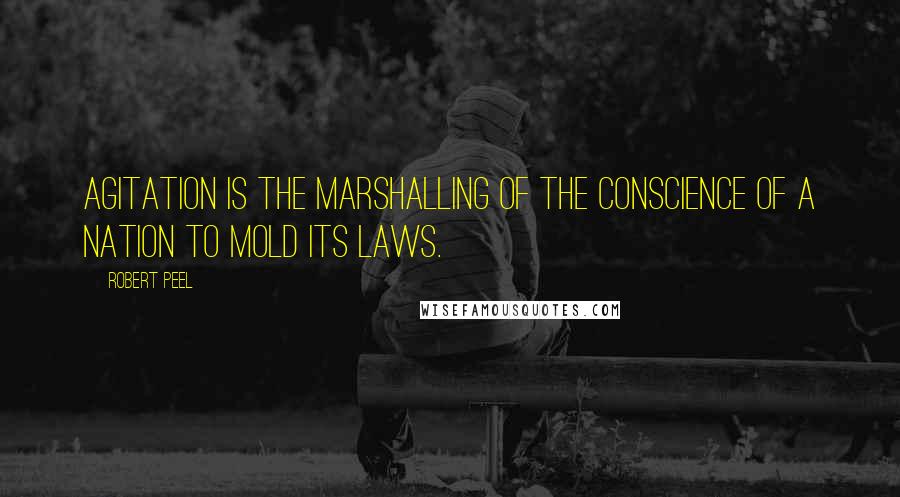 Robert Peel Quotes: Agitation is the marshalling of the conscience of a nation to mold its laws.