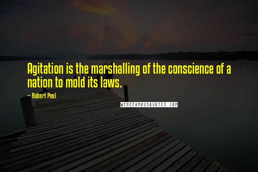 Robert Peel Quotes: Agitation is the marshalling of the conscience of a nation to mold its laws.