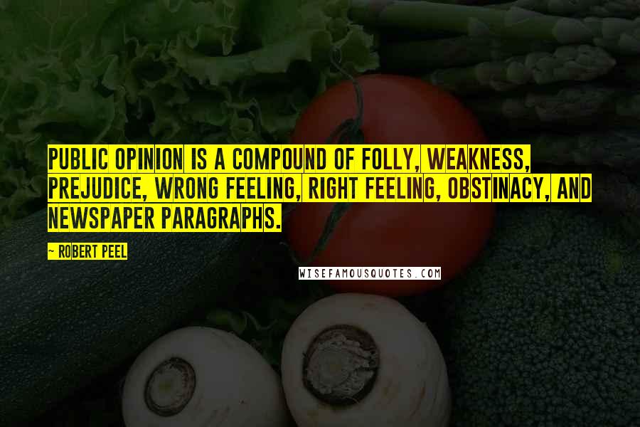 Robert Peel Quotes: Public opinion is a compound of folly, weakness, prejudice, wrong feeling, right feeling, obstinacy, and newspaper paragraphs.