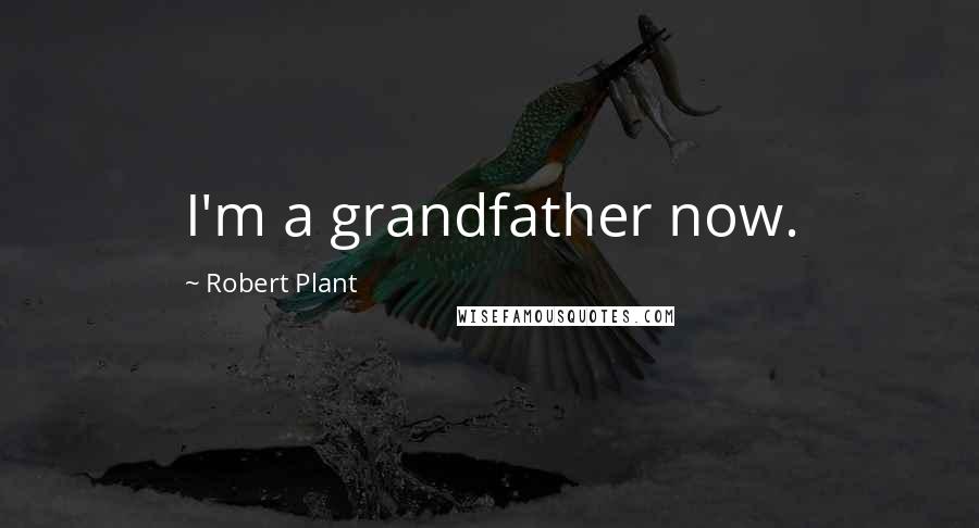 Robert Plant Quotes: I'm a grandfather now.