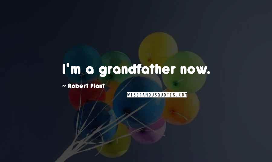 Robert Plant Quotes: I'm a grandfather now.