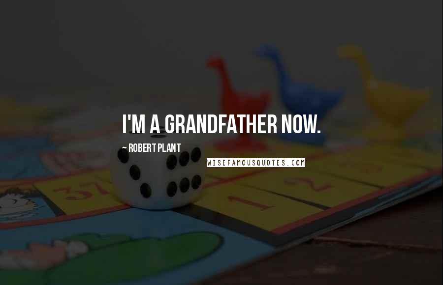 Robert Plant Quotes: I'm a grandfather now.