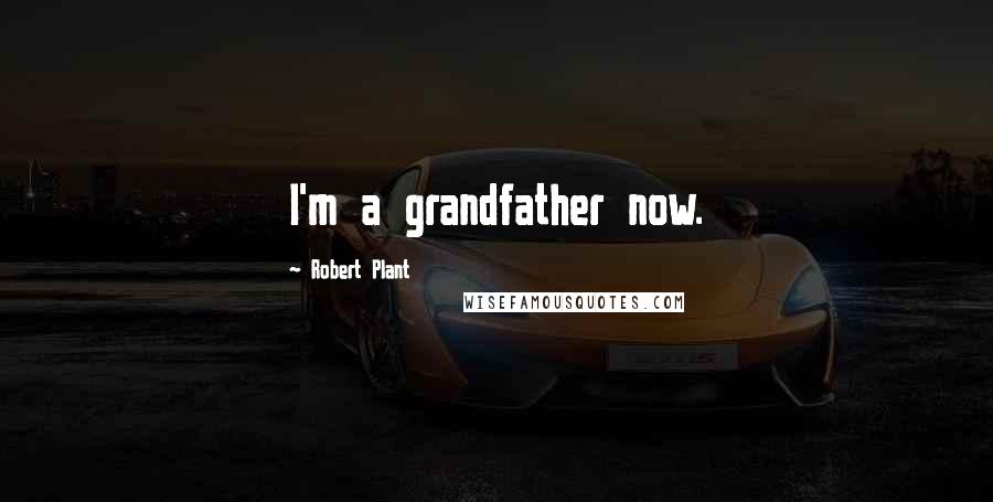 Robert Plant Quotes: I'm a grandfather now.