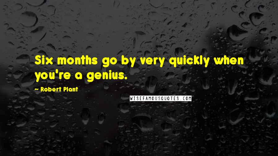 Robert Plant Quotes: Six months go by very quickly when you're a genius.