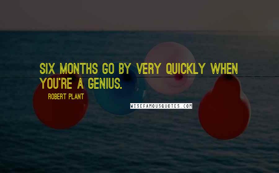 Robert Plant Quotes: Six months go by very quickly when you're a genius.