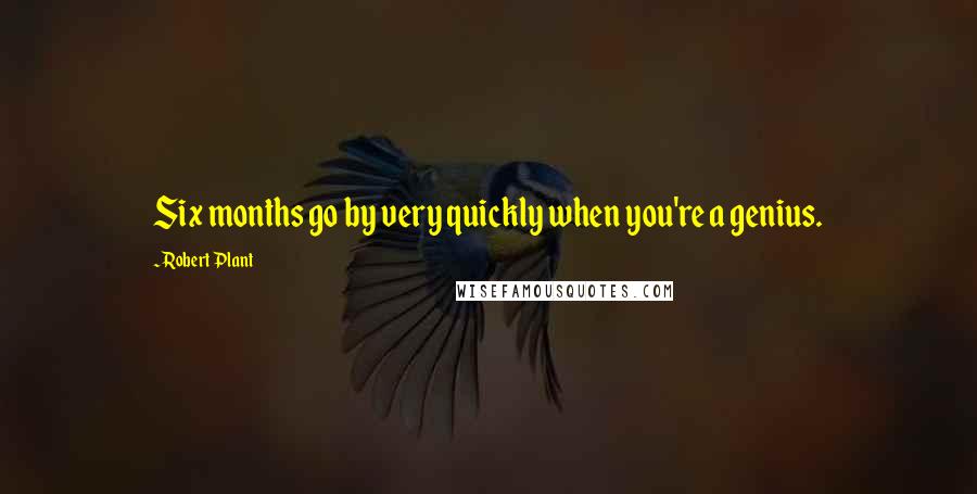 Robert Plant Quotes: Six months go by very quickly when you're a genius.