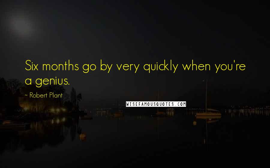 Robert Plant Quotes: Six months go by very quickly when you're a genius.