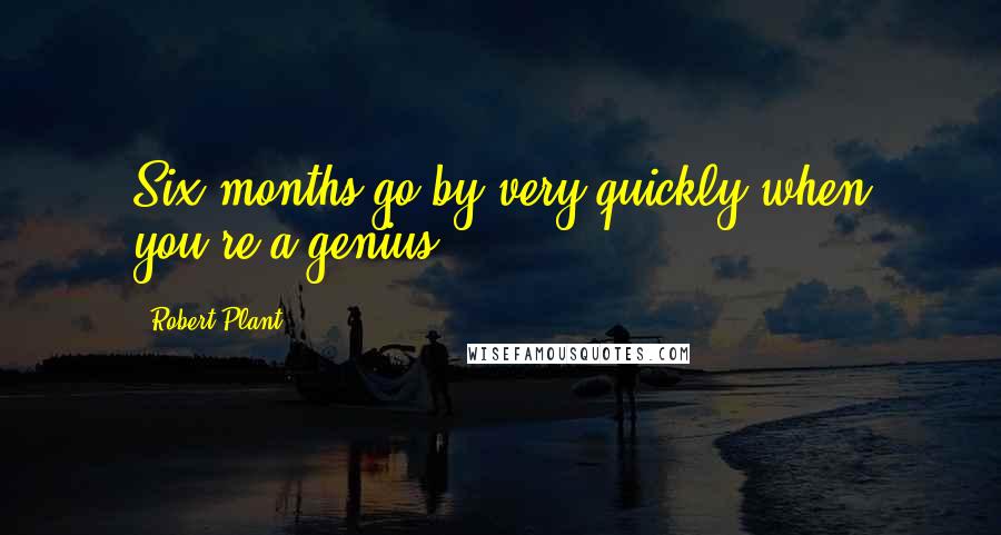 Robert Plant Quotes: Six months go by very quickly when you're a genius.