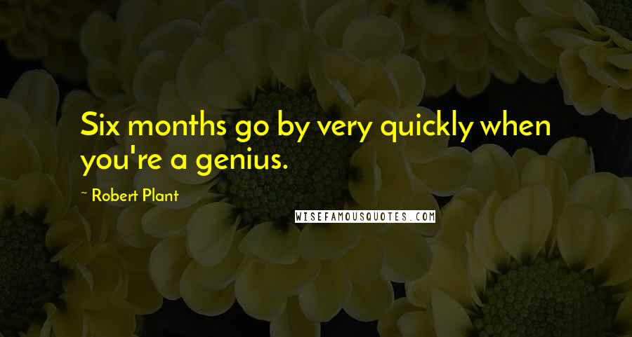 Robert Plant Quotes: Six months go by very quickly when you're a genius.