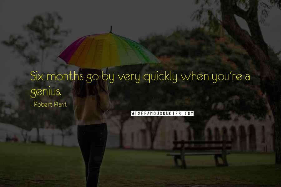 Robert Plant Quotes: Six months go by very quickly when you're a genius.