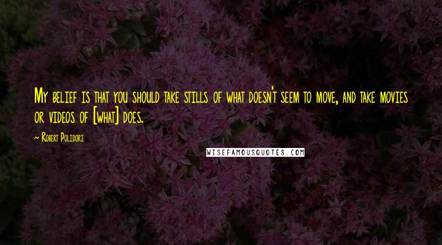 Robert Polidori Quotes: My belief is that you should take stills of what doesn't seem to move, and take movies or videos of [what] does.