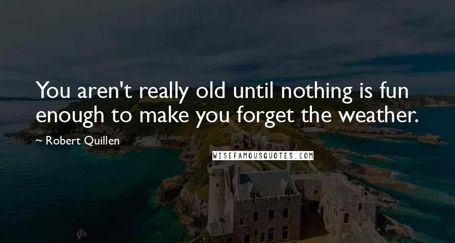 Robert Quillen Quotes: You aren't really old until nothing is fun enough to make you forget the weather.