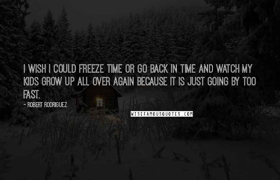 Robert Rodriguez Quotes: I wish I could freeze time or go back in time and watch my kids grow up all over again because it is just going by too fast.