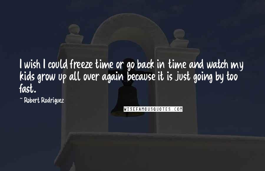 Robert Rodriguez Quotes: I wish I could freeze time or go back in time and watch my kids grow up all over again because it is just going by too fast.