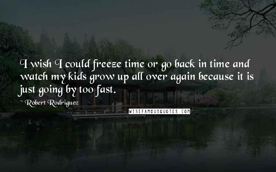 Robert Rodriguez Quotes: I wish I could freeze time or go back in time and watch my kids grow up all over again because it is just going by too fast.