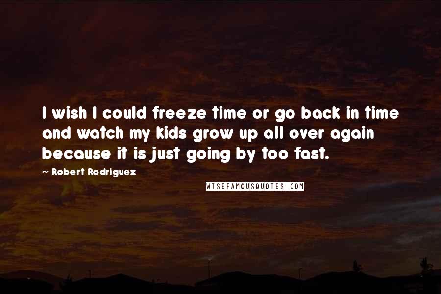 Robert Rodriguez Quotes: I wish I could freeze time or go back in time and watch my kids grow up all over again because it is just going by too fast.