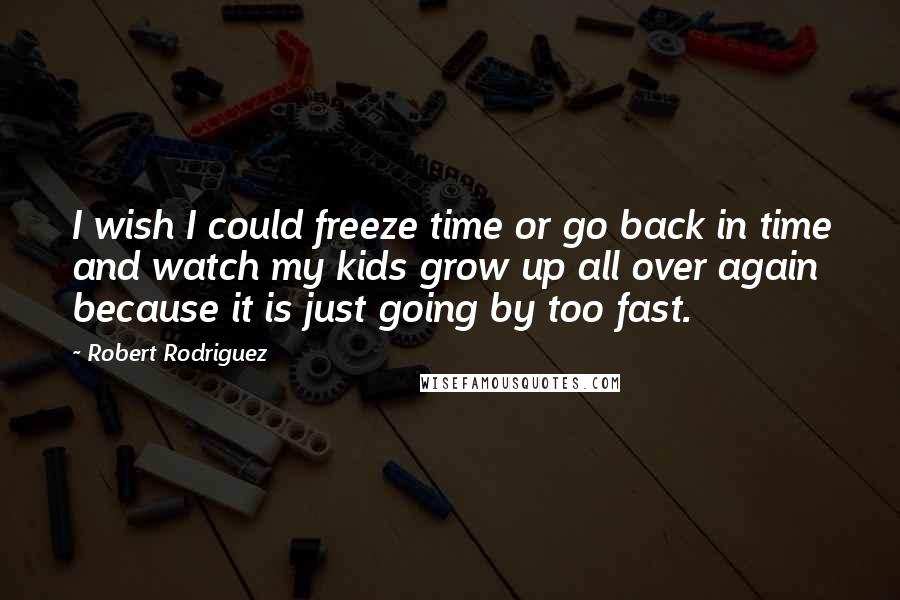 Robert Rodriguez Quotes: I wish I could freeze time or go back in time and watch my kids grow up all over again because it is just going by too fast.