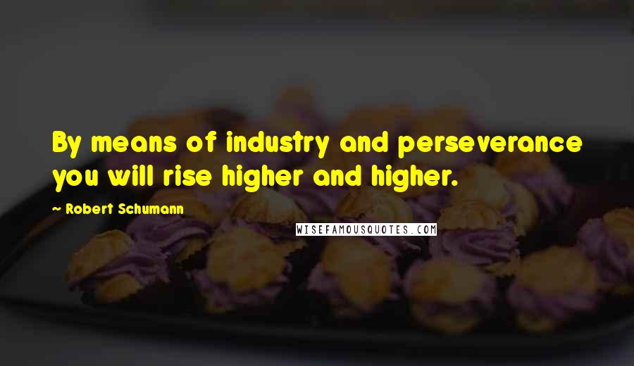 Robert Schumann Quotes: By means of industry and perseverance you will rise higher and higher.