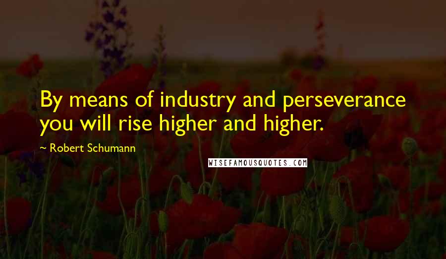 Robert Schumann Quotes: By means of industry and perseverance you will rise higher and higher.