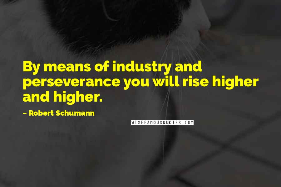 Robert Schumann Quotes: By means of industry and perseverance you will rise higher and higher.