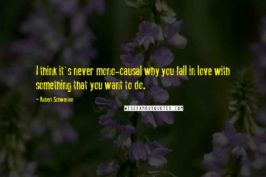 Robert Schwentke Quotes: I think it's never mono-causal why you fall in love with something that you want to do.
