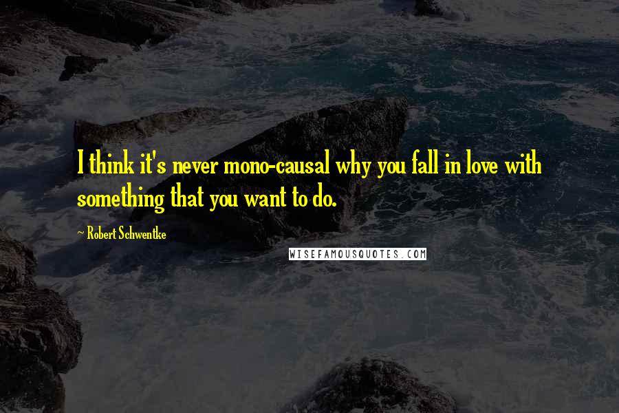 Robert Schwentke Quotes: I think it's never mono-causal why you fall in love with something that you want to do.