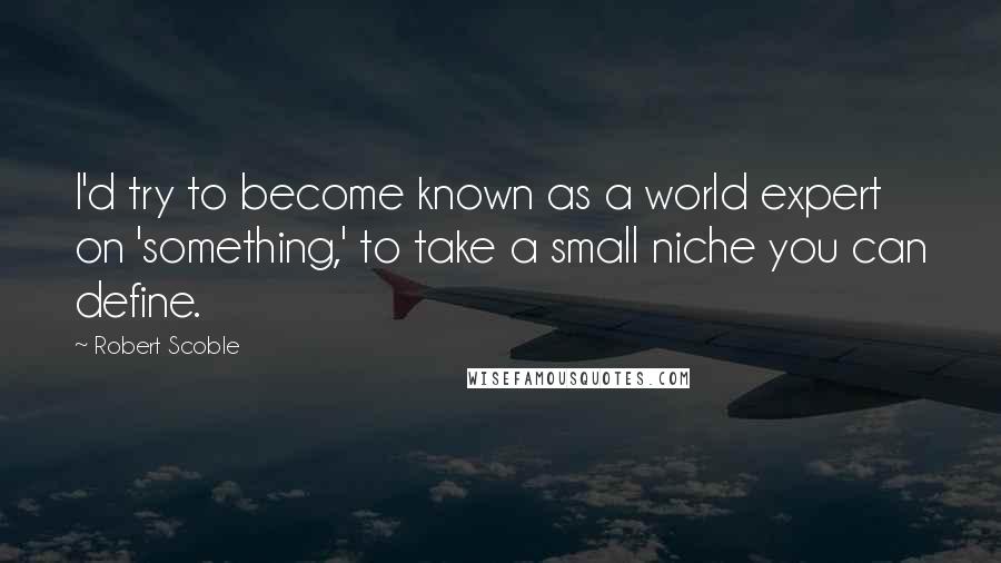 Robert Scoble Quotes: I'd try to become known as a world expert on 'something,' to take a small niche you can define.