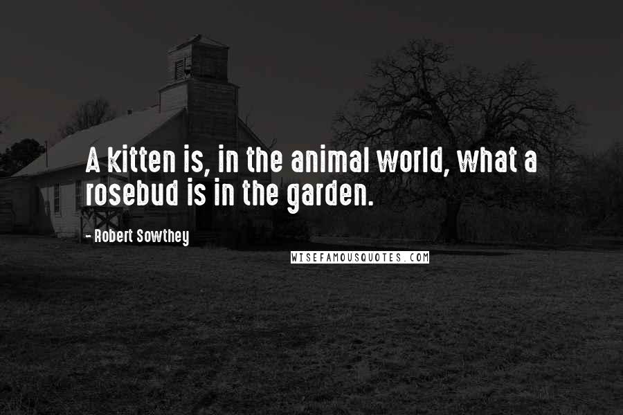 Robert Sowthey Quotes: A kitten is, in the animal world, what a rosebud is in the garden.