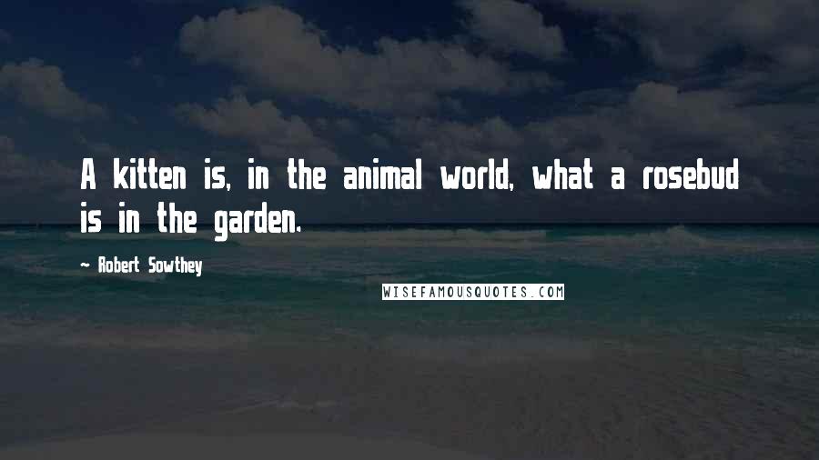 Robert Sowthey Quotes: A kitten is, in the animal world, what a rosebud is in the garden.