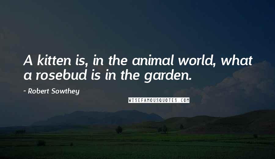 Robert Sowthey Quotes: A kitten is, in the animal world, what a rosebud is in the garden.