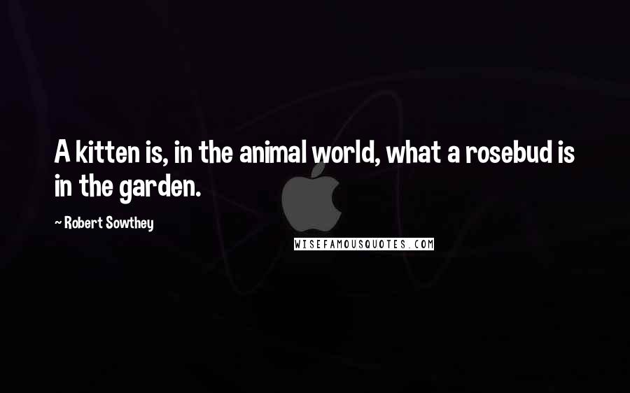 Robert Sowthey Quotes: A kitten is, in the animal world, what a rosebud is in the garden.