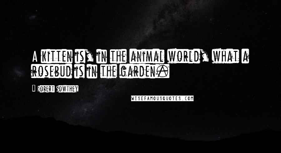 Robert Sowthey Quotes: A kitten is, in the animal world, what a rosebud is in the garden.