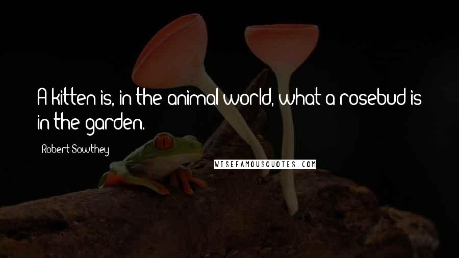 Robert Sowthey Quotes: A kitten is, in the animal world, what a rosebud is in the garden.