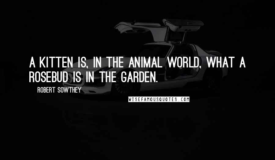 Robert Sowthey Quotes: A kitten is, in the animal world, what a rosebud is in the garden.